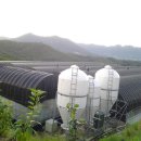 백용농장 이미지