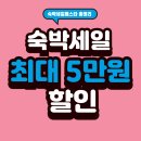 국내여행 숙박 최대 5만원 할인! 숙박세일페스타 참여방법 완벽 안내