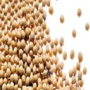 파주장단통일촌콩영농조합법인 이미지