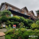 석택리 585-5번지 앞 | [서울 근교 여행] 유명산자연휴양림 바로 앞 유명산 옹달샘 펜션 편하게 쉬다 왔네요