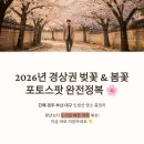 [생태체험] 대저생태공원 - 4월 6일(토) 오전 | 2026년 경상권 벚꽃 &amp; 봄꽃 포토스팟 완전정복 | 진해·경주·부산·대구 인생샷 명소 총정리