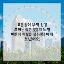 삼부치과의원 | 딱딱한 이앓이 말고, 제대로 점검할 때가 됐죠