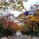 부산광역시청 이미지