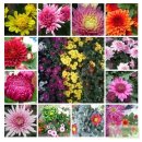 들꽃나라농장 이미지