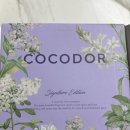 항아리족발 | [8월 3주] 가능동 족발거리 '항아리 족발' 방문 후기 🐷