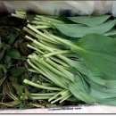 고운농장 이미지