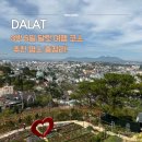 3박 5일 달랏 여행 코스 &amp; 추천 명소 총정리!