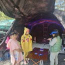 이우캠핑장 | 2025. 5.3~6 어린이날 영월키즈캠핑장~