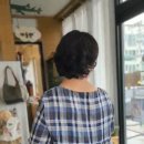모델의상실 이미지