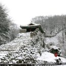 [대한민국 100대 명품숲] - 광주 남한산성 소나무숲 이미지