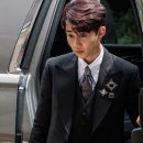 파파피나 이미지