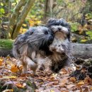 허브동물병원 이미지