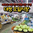 제주도여행 현지 전통시장 구경, 서귀포 대정오일장