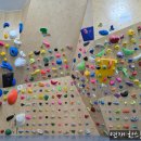 파주클라이밍 | 내돈내산 경기도 파주 정글짐 클라이밍센터 방문 후기