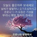 류*우 이미지
