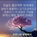 12월22일 화요일 이미지