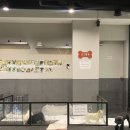 꽃길걷개 이미지