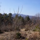 산곡초교입구 등산로 | 하남시의 용마산 검단산 (260216)