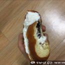 빵장수단팥빵대전