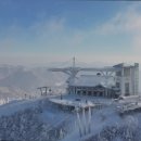 올림픽로613 | 강원도 평창 대관령 숙소 리조트 캠핑 추천 모나용평 강원도 평창 대관령 숙소 리조트 캠핑 추천의 최적지