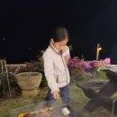 마당이바다 이미지