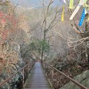 산이주유소 | [화순] 백아산(810m) 하늘다리에서 사랑을 외쳐봅니다.