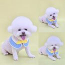 꼼꼼하개 이미지