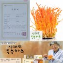 하초 이미지