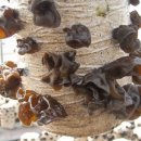 평창섬유 이미지