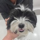 삼화4길 6-1 이미지