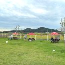 워킹애니멀스쿨 이미지