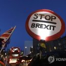 메이네B 이미지