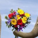 묘한향기 이미지