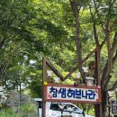 밀양 참샘허브나라 라벤더수영장: 단독수영장추천