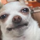 틈하우스 | 가자... 도파민 채우러 [문토 틈하우스] 내돈내산💸 후기