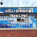 리틀페어리영어교습소 | [어트랙션 패스1]시드니 아쿠아리움｜씨라이프(See Life) 후기