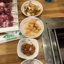 투다리 효자풍림점 | <포항> ‘효자양꼬치’ 내돈내산 솔직후기