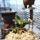 두엽농장 이미지