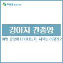 푸른들 동물병원 이미지