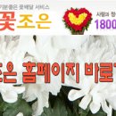 조은꽃집