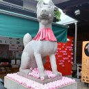 성한가든 | [나고야 근교 소도시여행] 이누야마성 성하마을, 이나리신사 (ft. 나고야성과 고민이라면?)