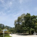 일동수목원 이미지