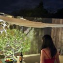 하도탐나 이미지