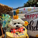 워니시티 이미지