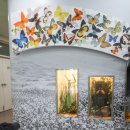 (맑은누리 동네배움터) 그림책과 초록 세상 | 5세 아이와 대구 마이스터고 녹색학습원 방문 후기