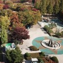 과천시 중앙공원 이미지