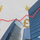 피드앤푸드 이미지