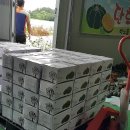 이연숙농장 네이버블로그