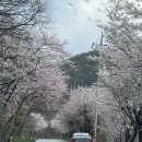 대둔산 수락캠핑장 | 대전 근교 시설 깨끗한 대둔산 수락오토캠핑장 (ft. 임산부 캠핑 후기)