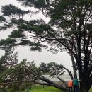 반송마을경로당 이미지